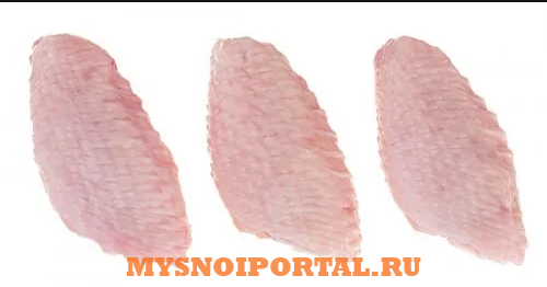 Куплю: локоть ЦБ ( вторая фаланга) Санкт-Петербург - изображение 1