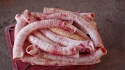 Куплю: калтык, трахею говяжью Первоуральск