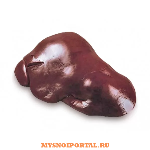 Закупаем субпродукты бараньи: печень Москва - изображение 1