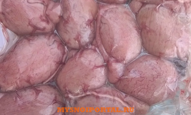 Закупаем субпродукты бараньи: Семенники Москва - изображение 1