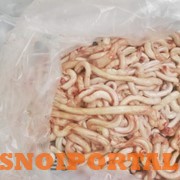 Закупаем субпродукты бараньи: Пенисы Москва - изображение 1