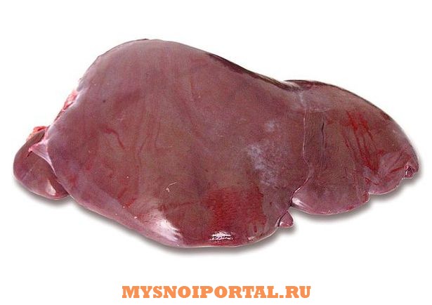 Закупаем субпродукты говяжьи: Печень Москва - изображение 1