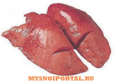 Закупаем субпродукты говяжьи: Легкое Москва - изображение 1