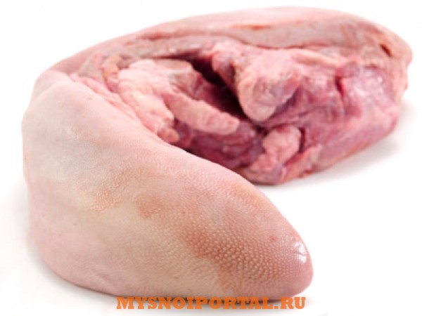 Закупаем субпродукты говяжьи: Языки Астрахань - изображение 1