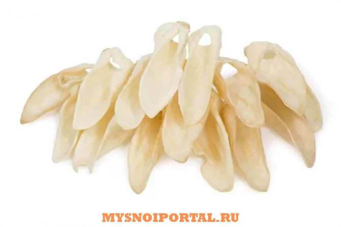 Закупаем бараньи уши Москва - изображение 1