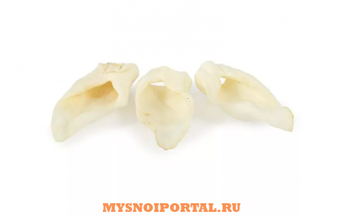 Куплю Уши кроличьи в Москве Москва - изображение 1