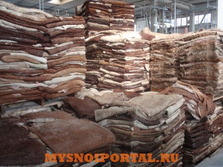 Куплю: закупаем шкуры КРС оптом от 20 тонн Богородск - изображение 1