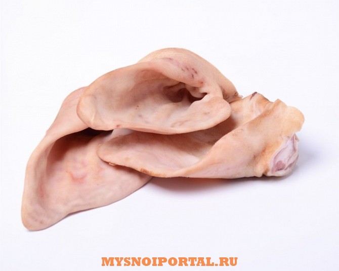 Куплю: уши свиные Москва - изображение 1