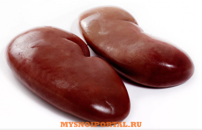 Куплю: почки свиные Самара - изображение 1