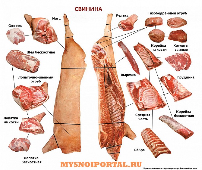 Куплю: свинину Самара - изображение 1