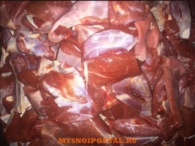 Куплю: мясо говядины односорт Белгород - изображение 1