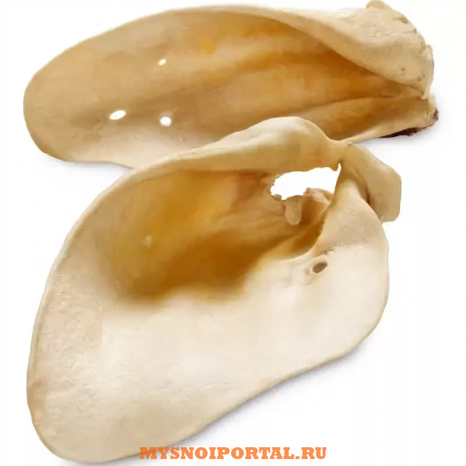 Куплю: уши говяжьи обработанные Москва - изображение 1