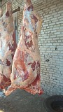говядина полутуша 200р доставка из г.Новосибирск