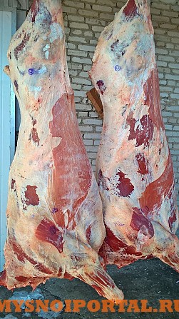 говядина полутуша 200р Новосибирск - изображение 1