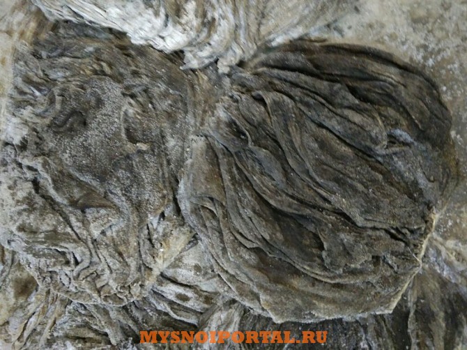 Продаем говяжью книжку Казань - изображение 1