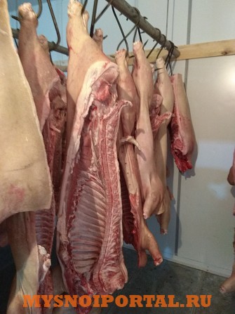 Свинина полутуши охлаждённая Тюмень - изображение 1