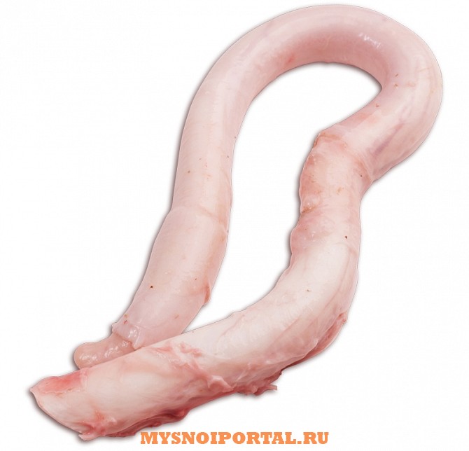 Куплю дорого субпродукты говяжьи: пенисы Казань - изображение 1