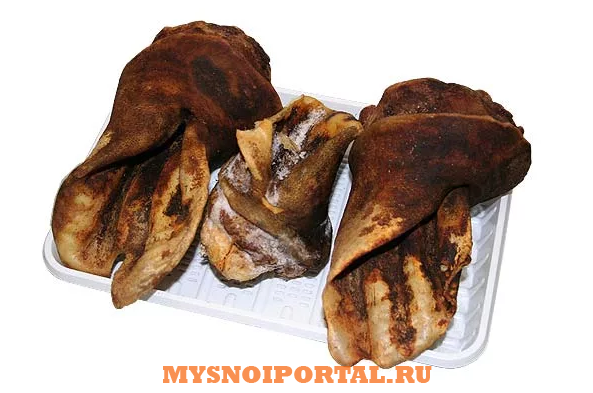 Куплю: уши говяжьи Москва - изображение 1