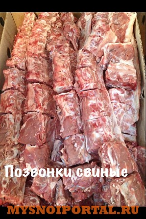 Продаю Рагу Свиное в Новосибирске Новосибирск - изображение 1