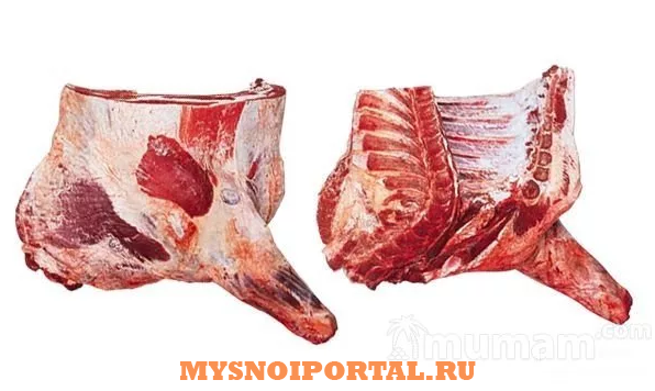 Предлагаем: Конина,ПЧ, Австралия Москва - изображение 1