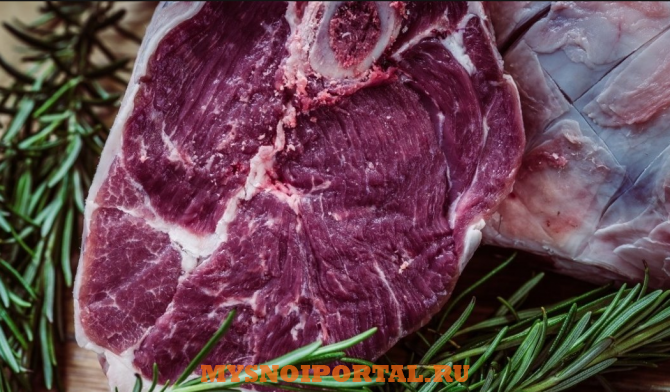 Куплю: мясо лося Москва - изображение 1