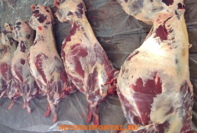 Куплю: мясо марала Москва - изображение 1