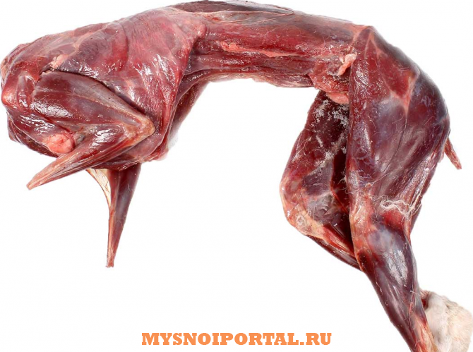 Куплю: мясо зайца Москва - изображение 1