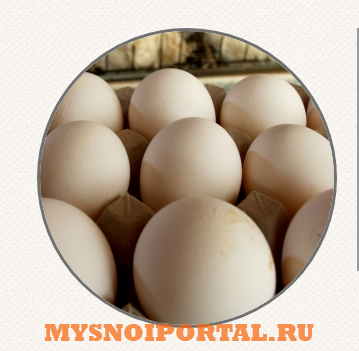 Предлагаем: инкубационное яйцо Ахтарский - изображение 1