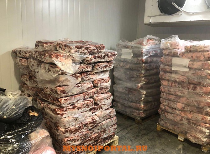 Свинина и говядина оптом от производителя в Москве и МО Москва - изображение 1