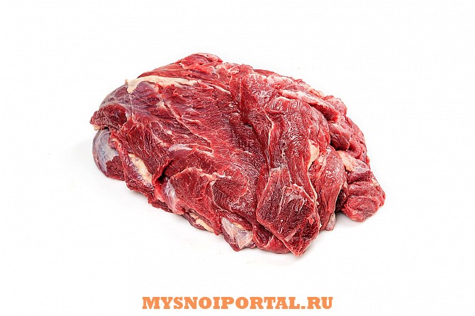 Лопатка, Гост Москва - изображение 1