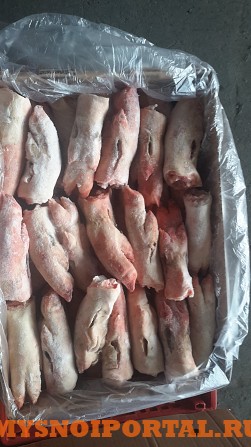 Набор для холодца (ножки задние монолит, Гост) Москва - изображение 1