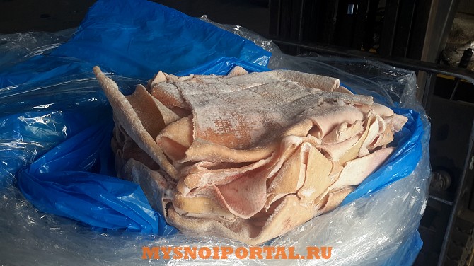 Шкура свиная (мех.зачистка) крупная монолит Москва - изображение 1