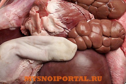 Куплю: Вет. Брак (говяжий) Кострома - изображение 1