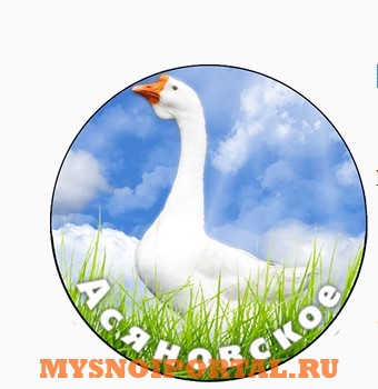 Яйцо гусиное инкубационное Линдовской породы Дюртюли - изображение 1