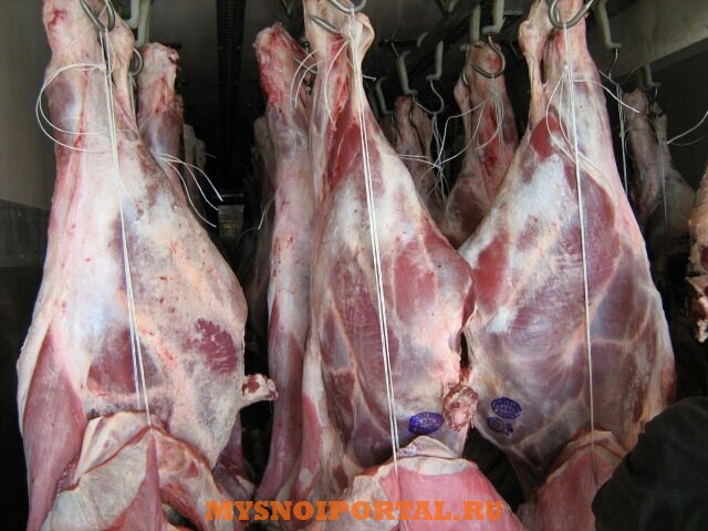 Говядина (бык корова) охл. зам Минск - изображение 1