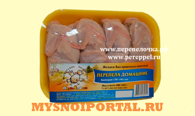 Предлагаем: Перепела домашние Асбест - изображение 1