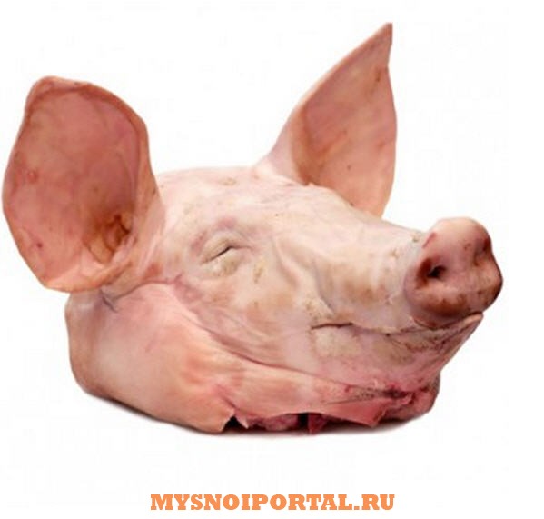 Куплю: головы свиные Омск - изображение 1