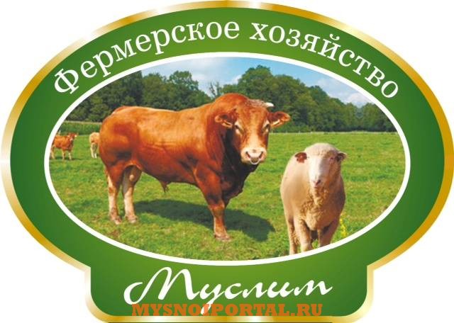 Куплю Быки, на убой в Санкт-Петербурге Санкт-Петербург - изображение 1