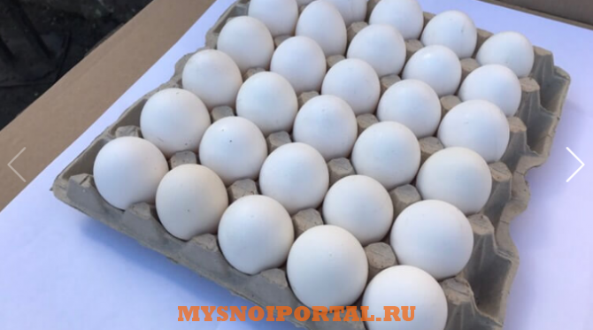 Предлагаем: Яйцо пищевое Сергиев Посад - изображение 1