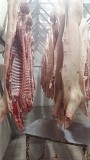 Свинина в тушах и п/тушах 1 и 2 категории Новокуйбышевск