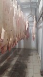 Свинина в тушах и п/тушах 1 и 2 категории Новокуйбышевск