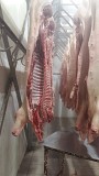 Свинина в тушах и п/тушах 1 и 2 категории Новокуйбышевск