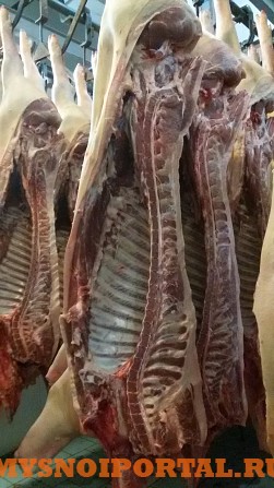 Свинина в тушах и п/тушах 1 и 2 категории Новокуйбышевск - изображение 1