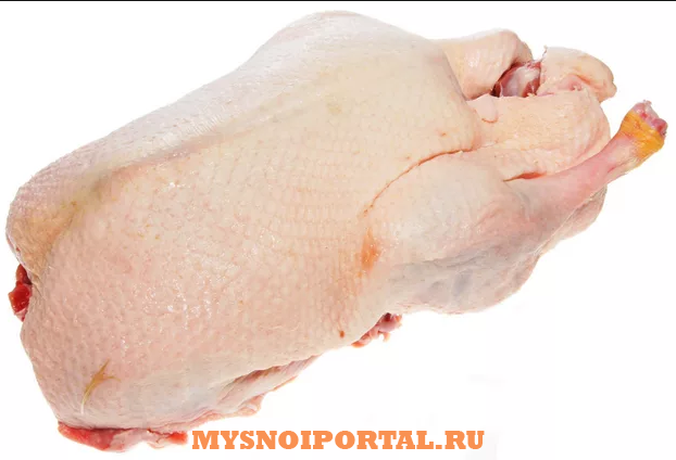 Куплю: гусей Острогожск - изображение 1