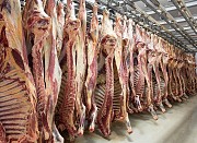 Говядина полутуши доставка из г.Уфа