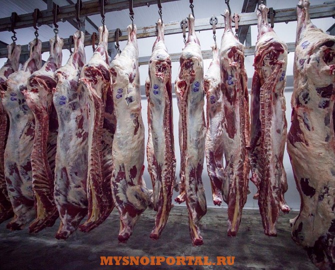 Говядина полутуши, блочная Уфа - изображение 1