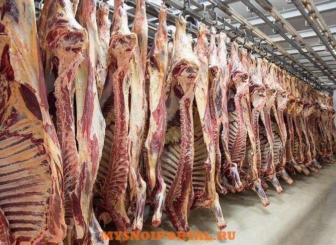 Говядина полутуши корова Уфа - изображение 1