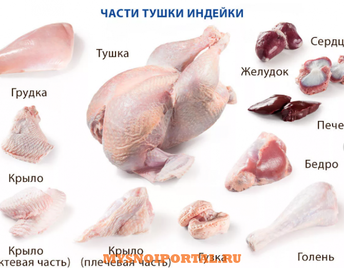 Предлагаем: полуфабрикаты из мяса индейки Екатеринбург - изображение 1