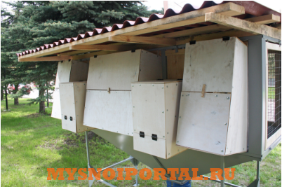 Предлагаем: Минифермы Тверь - изображение 1