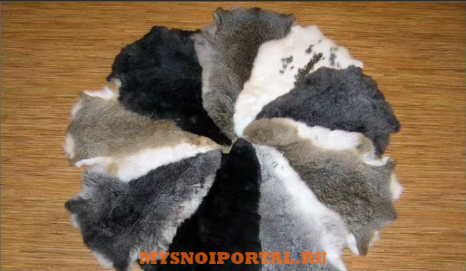 Предлагаем: Шкурки кроликов Тверь - изображение 1